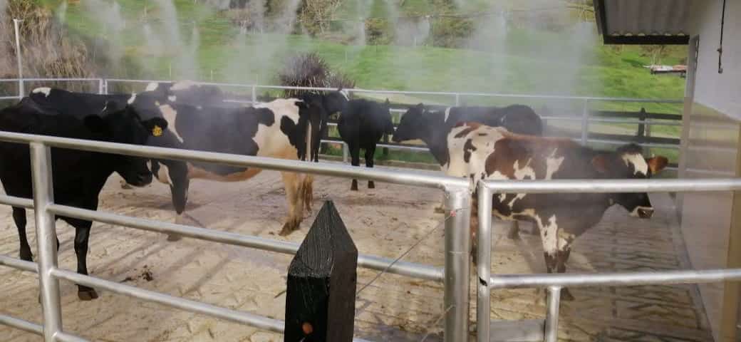 ganaderia